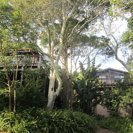 Treehouse Cottage The Crags Extérieur photo