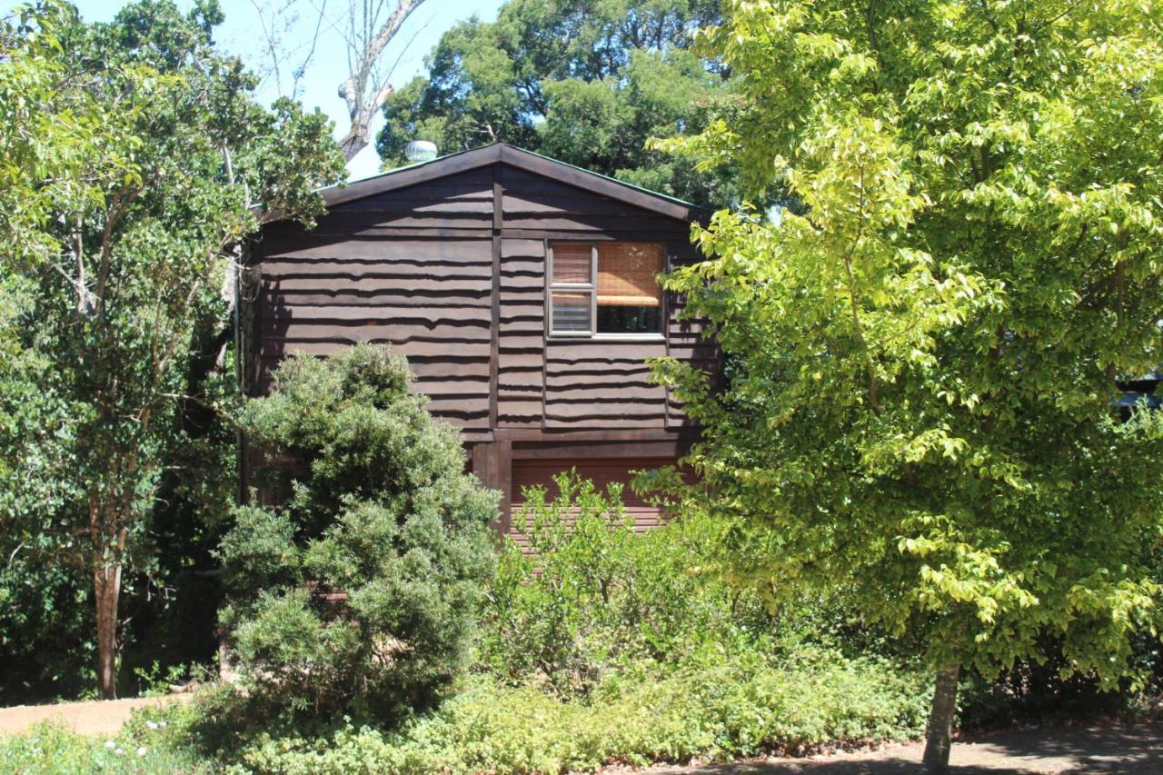 Treehouse Cottage The Crags Extérieur photo