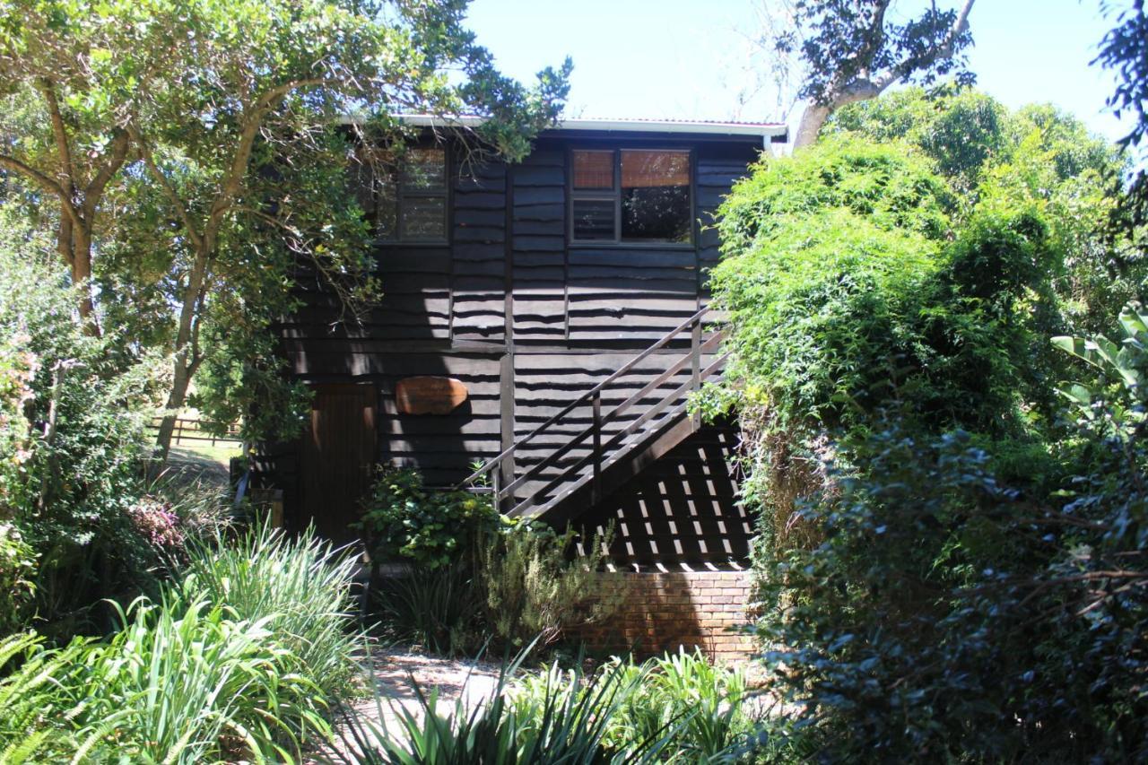 Treehouse Cottage The Crags Extérieur photo