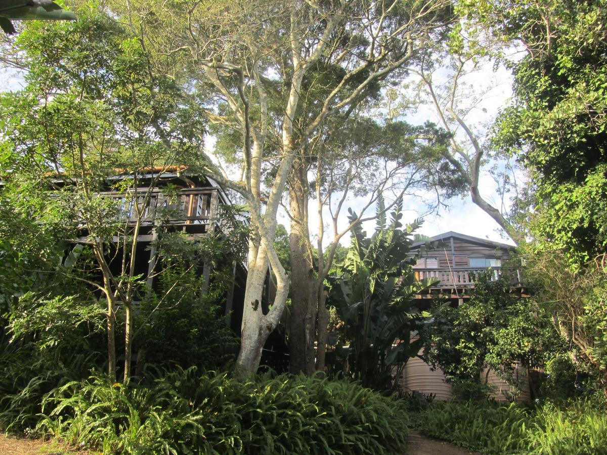 Treehouse Cottage The Crags Extérieur photo